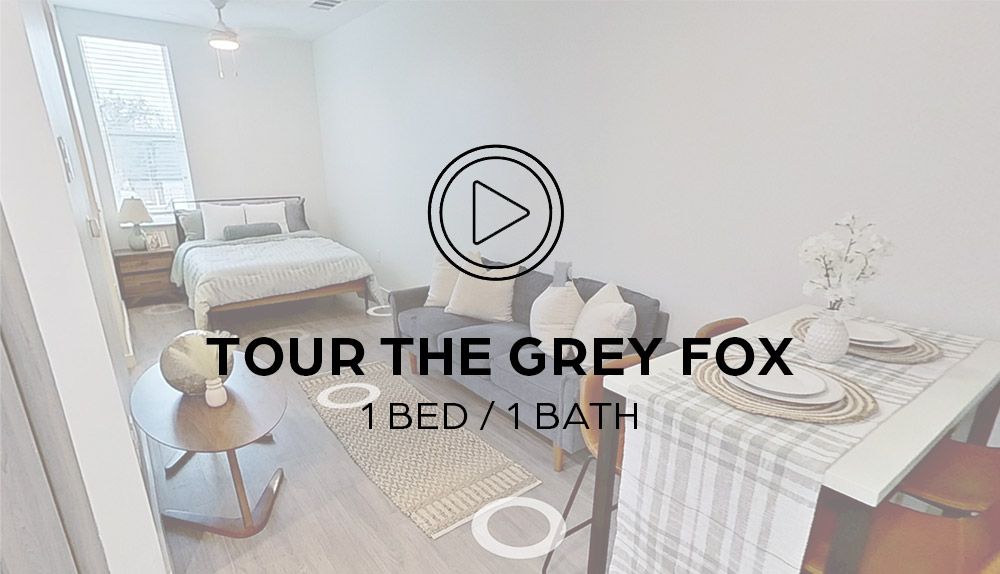 Virtual Tour